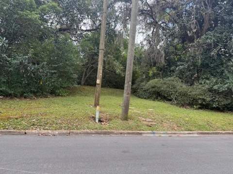 1107 Myers Park Drive, Tallahassee FL - photo 13 of 24