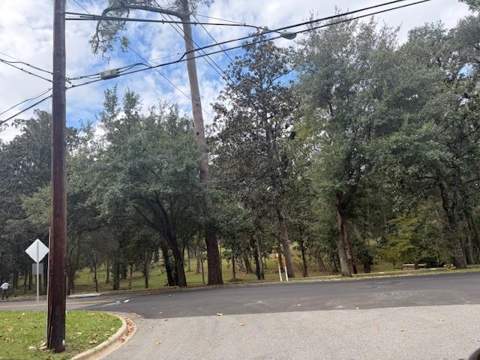 1107 Myers Park Drive, Tallahassee FL - photo 18 of 24