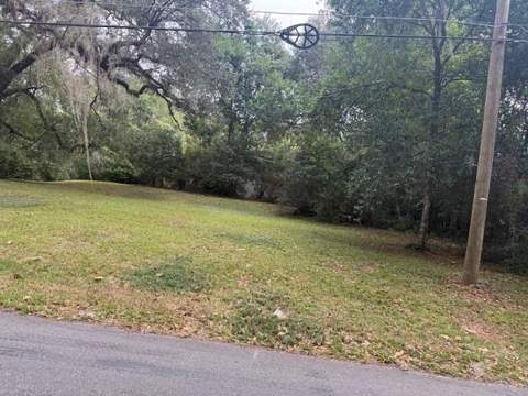 1107 Myers Park Drive, Tallahassee FL - photo 23 of 24
