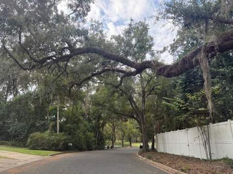1107 Myers Park Drive, Tallahassee FL - photo 6 of 24