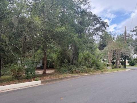1107 Myers Park Drive, Tallahassee FL - photo 9 of 24