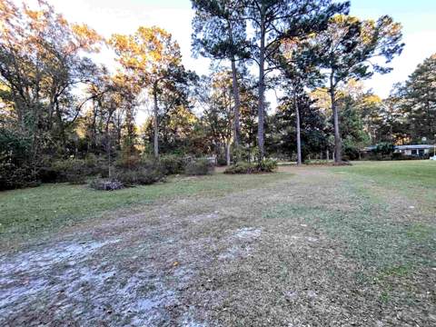 8634 Wakulla Springs Road, Tallahassee FL - photo 11 of 22