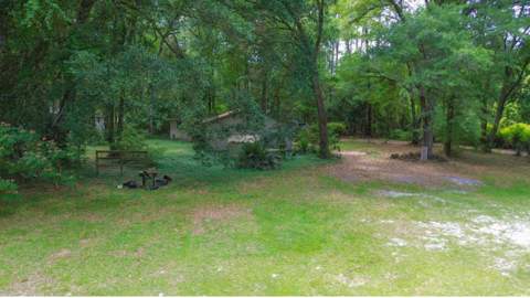8634 Wakulla Springs Road, Tallahassee FL - photo 19 of 22