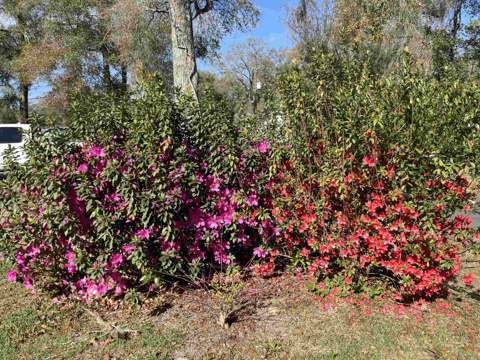 67 Summer Brooke Lane, Crawfordville FL - photo 23 of 24