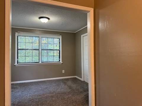 500 Laura Lee Avenue, Tallahassee FL - photo 20 of 40