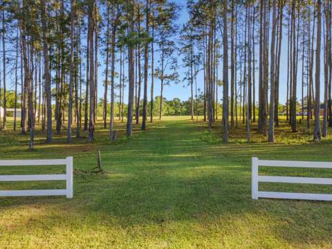 1115 Glory Road, Quincy FL - photo 9 of 36