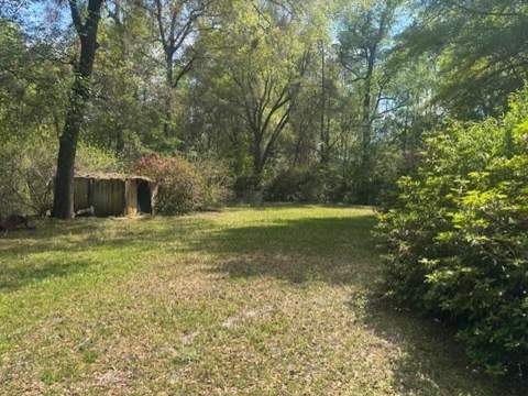8515 Forest Wood Drive, Tallahassee FL - photo 19 of 21