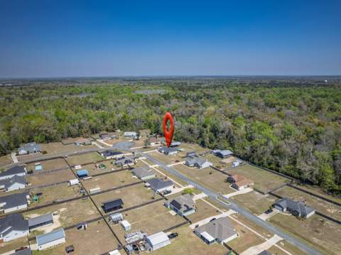 330 Tillis Lane, Crawfordville FL - photo 24 of 51