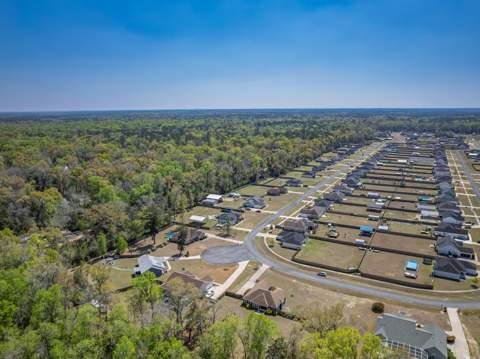 330 Tillis Lane, Crawfordville FL - photo 7 of 51
