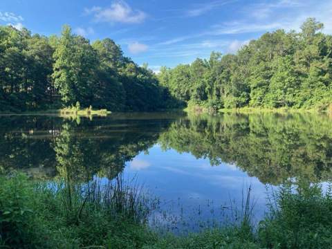 95 Waters Edge Lane, Havana FL - photo 18 of 19