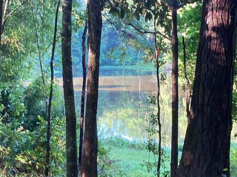 95 Waters Edge Lane, Havana FL - photo 19 of 19