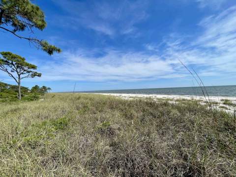 1505 Alligator Drive, Alligator Point FL - photo 7 of 45