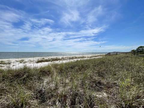 1505 Alligator Drive, Alligator Point FL - photo 8 of 45