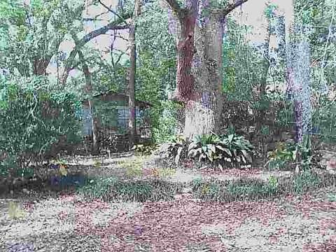 1514 Majestic Avenue, Tallahassee FL - photo 13 of 15