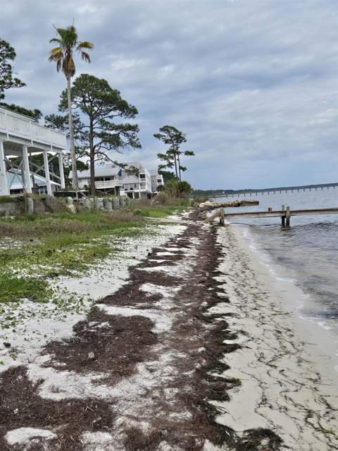 3150 Highway 98, Carrabelle FL - photo 22 of 65