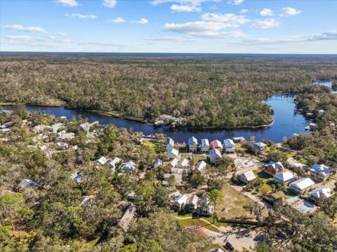 233 NE Maggie Circle, Steinhatchee FL - photo 9 of 40