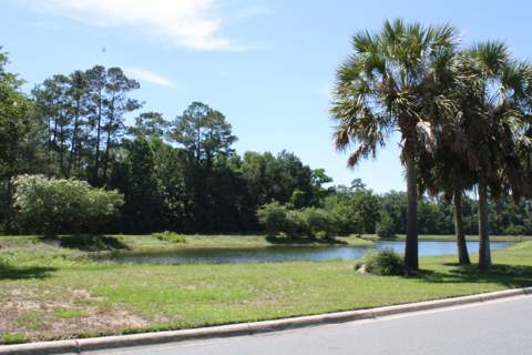 3317 Sawtooth Drive, Tallahassee FL - photo 21 of 24