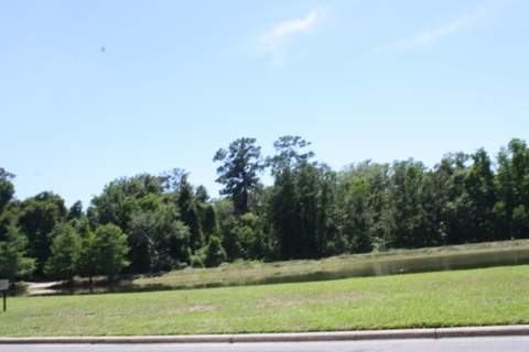 3317 Sawtooth Drive, Tallahassee FL - photo 23 of 24