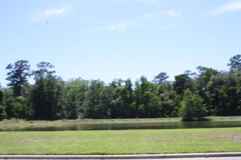 3317 Sawtooth Drive, Tallahassee FL - photo 24 of 24
