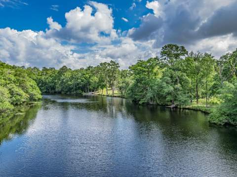 658 Woodlake Road, Sopchoppy FL - photo 9 of 60