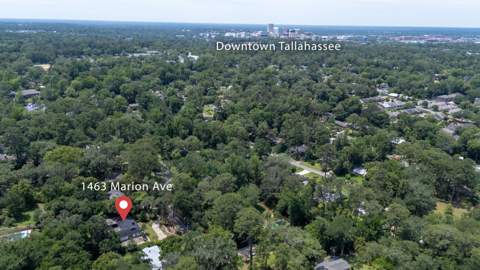1463 Marion Avenue, Tallahassee FL - photo 11 of 12