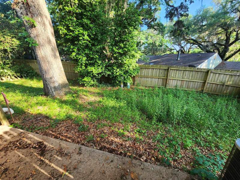 1 bedroom Townhouse at 1539 Paul Russell Road, Folsom Pearson Townhomes, Tallahassee — photo 4