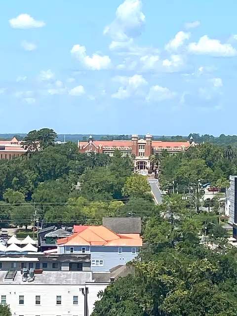 215 W College Avenue, Tallahassee FL - photo 15 of 37