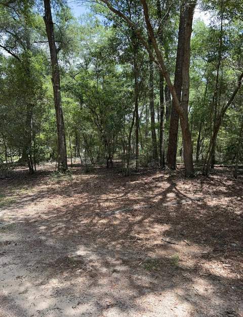 8043 Baby Farm Drive, Tallahassee FL - photo 17 of 32