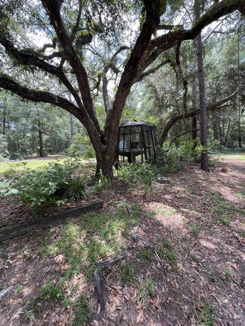 8043 Baby Farm Drive, Tallahassee FL - photo 20 of 32