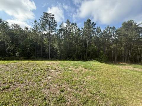 407 Mae Cato Drive, Midway FL - photo 14 of 14