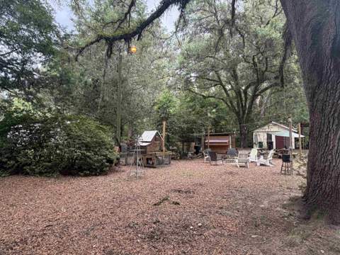 6010 La France Road, Tallahassee FL - photo 8 of 38
