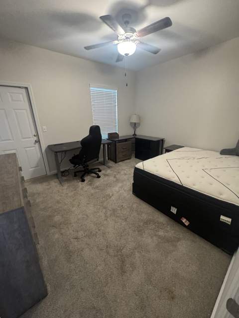 3362 Fort Collins Lane, Tallahassee FL - photo 14 of 24