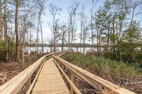 29 Gibson Road, Sopchoppy FL - photo 10 of 70