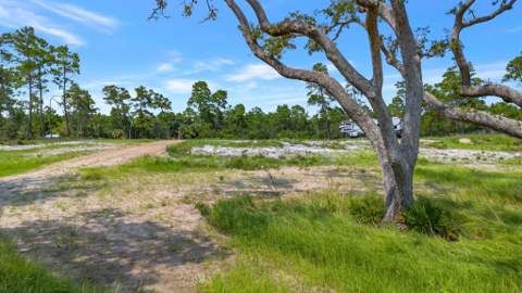 4546 Palms Way, St Teresa FL - photo 18 of 19