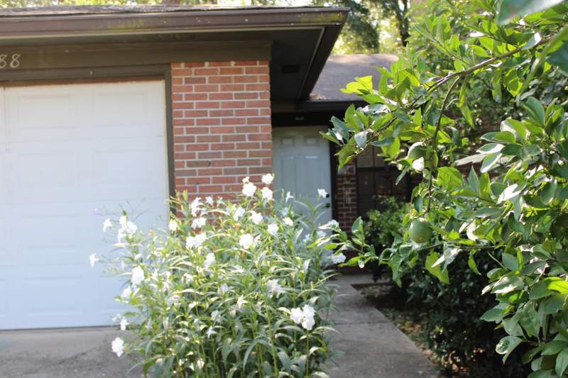 3 bedroom Detached at 4288 Carnwath Road, Plantation Woods, Tallahassee — photo 2