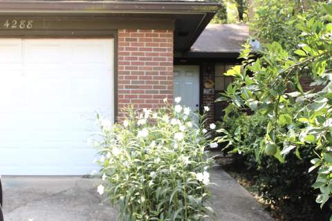 4288 Carnwath Road, Tallahassee FL - photo 7 of 46