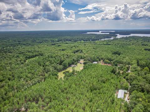 2407 Oscar Harvey Road, Tallahassee FL - photo 16 of 60