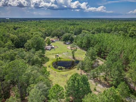 2407 Oscar Harvey Road, Tallahassee FL - photo 17 of 60