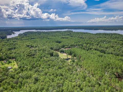 2407 Oscar Harvey Road, Tallahassee FL - photo 21 of 60