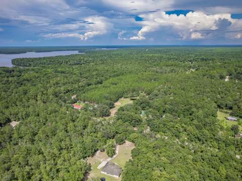 2407 Oscar Harvey Road, Tallahassee FL - photo 23 of 60