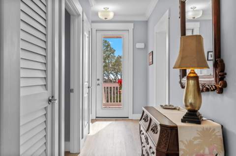 1372 Chip Morrison Drive, Alligator Point FL - photo 13 of 65