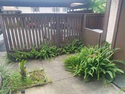 209 N Westwood, Tallahassee FL - photo 12 of 28