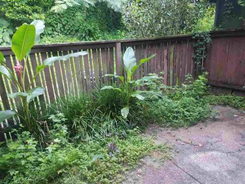 209 N Westwood, Tallahassee FL - photo 9 of 28