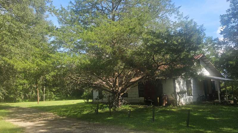 3 bedroom Detached at 1104 Leslie Lewis Road, N, Havana — photo 5
