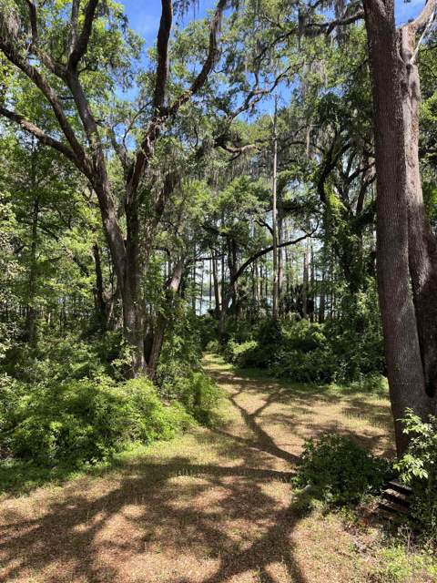 1858 Old Briar Trail, Tallahassee FL - photo 13 of 67