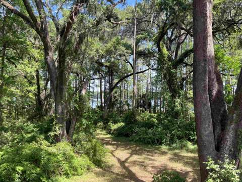 1858 Old Briar Trail, Tallahassee FL - photo 16 of 67
