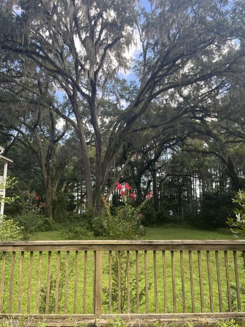 1858 Old Briar Trail, Tallahassee FL - photo 20 of 67