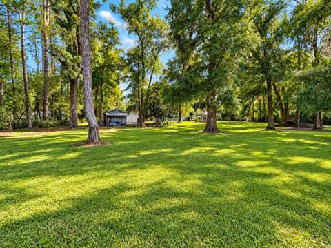 108 Harry Morrison Road, Crawfordville FL - photo 15 of 40