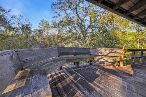 14 Lizard Lane, Sopchoppy FL - photo 10 of 36
