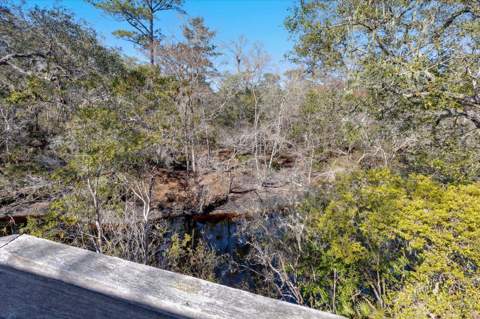 14 Lizard Lane, Sopchoppy FL - photo 11 of 36